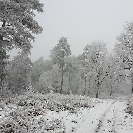 B&B"De Hassehof" Sellingen Eksteriør billede