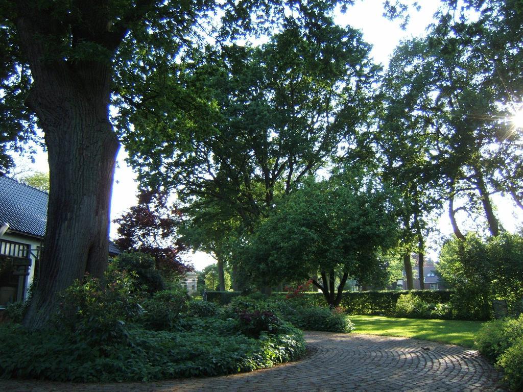 B&B"De Hassehof" Sellingen Eksteriør billede